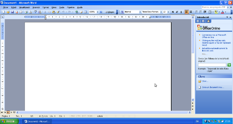 Word Office 2003 valencianitzat